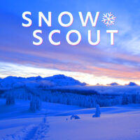 Snow Scout